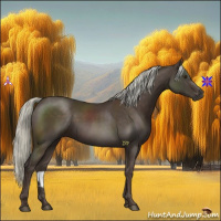 Horse Color:Liver Chestnut Mushroom 