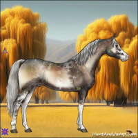 Horse Color:White Spotted Liver Red Onyx Mushroom
