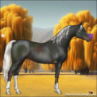 Horse Color:Liver Chestnut Mushroom 