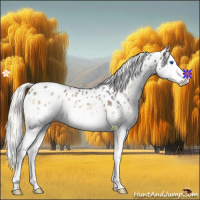 Horse Color:White Spotted Liver Red Onyx Mushroom Splash Appaloosa 