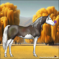Horse Color:Liver Chestnut Mushroom Splash 