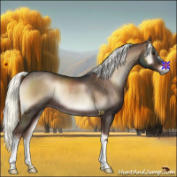 Horse Color:Liver Red Onyx Mushroom Rabicano