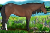 Horse Color:Brown 