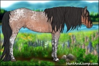 Horse Color:Brown Ice Roan