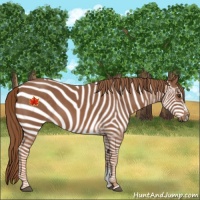 Horse Color:Chestnut Sabino