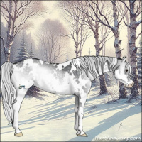 Horse Color:White Spotted Silver Blue Onyx Chinchilla Splash 