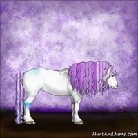 Horse Color:Painted White Spotted Silver Brown Chinchilla Onyx 