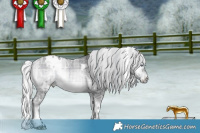 Horse Color:Plaid  White Spotted Silver Brown Chinchilla Ice Onyx Mushroom 