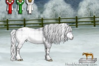 Horse Color:Plaid  White Spotted Silver Brown Chinchilla Ice Onyx Mushroom 