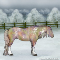 Horse Color:Nacre White Spotted Silver Brown Dun Sabino 