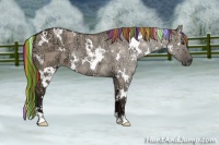 Horse Color:Painted White Spotted Liver Red Dun Ice 