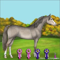 Horse Color:Liver Red Dun Mushroom Sabino 