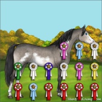 Horse Color:Brown Dun Mushroom Sabino Frame 