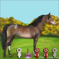 Horse Color:Brown Mushroom Sabino Varnish 
