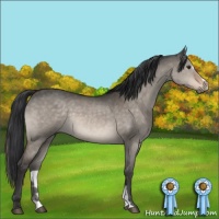 Horse Color:Brown Dun Mushroom Sabino 