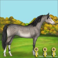Horse Color:Brown Dun Mushroom Sabino 