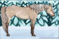 Horse Color:White Spotted Silver Brown Dun Rabicano 