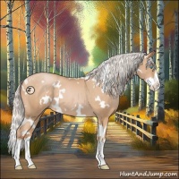 Horse Color:White Spotted Silver Buckskin Pearl Splash 