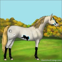 Horse Color:Painted Silver Classic Champagne Ice Roan Dun Splash Frame 