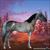 Horse Color:ERROR: UNKNOWN ANOMALY