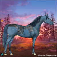 Horse Color:ERROR: UNKNOWN ANOMALY