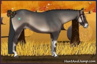 Horse Color:Blue Onyx 