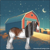 Horse Color:White Spotted Bay 