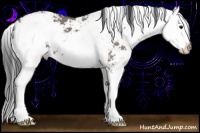 Horse Color:Grullo Sabino Splash 