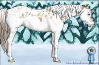 Horse Color:Classic Cream Champagne Splash Tobiano Varnish