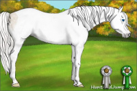 Horse Color:Gray Silver Classic Cream Champagne Splash Tobiano Appaloosa 