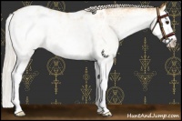 Horse Color:White Spotted Silver Buckskin Splash Appaloosa 