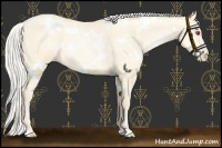 Horse Color:White Spotted Chocolate Silver Smoky Black Chinchilla Pearl 