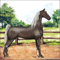 Horse Color:Liver Chestnut Mushroom