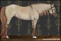 Horse Color:Liver Red Dun 