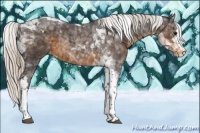 Horse Color:Silver Smoky Black Splash Tobiano Appaloosa 