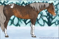 Horse Color:Silver Smoky Black Splash Tobiano Appaloosa 
