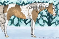 Horse Color:Silver Smoky Black Splash Tobiano Appaloosa 