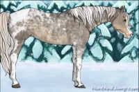 Horse Color:Silver Smoky Grullo Splash Tobiano Appaloosa 