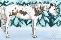 Horse Color:Silver Smoky Black Splash Tobiano Appaloosa