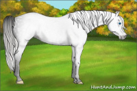 Horse Color:Gray Void Silver Classic Champagne Dun Splash Tobiano 