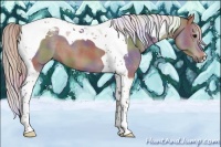 Horse Color:Nacre Silver Black Tobiano 