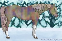 Horse Color:Nacre Silver Black Sabino Tobiano Rabicano 