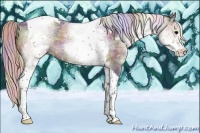 Horse Color:Nacre White Spotted Silver Black Tobiano Rabicano 