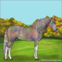 Horse Color:Nacre Silver Black Tobiano 