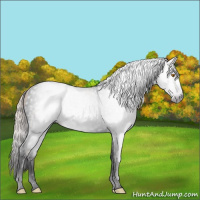 Horse Color:Gray Void Silver Classic Champagne Roan Splash Tobiano Rabicano 