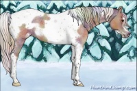 Horse Color:Nacre Silver Blue Roan Tobiano Frame 