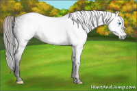 Horse Color:Gray Void Silver Classic Champagne Dun Splash Tobiano 