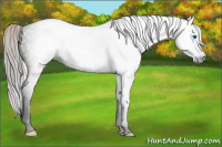 Horse Color:Gray Void Silver Classic Champagne Dun Splash Tobiano 