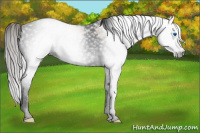 Horse Color:Gray Void Silver Classic Champagne Dun Splash Tobiano 