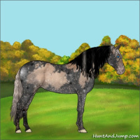 Horse Color:Gray Void Silver Classic Champagne Splash Tobiano 